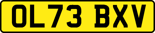 OL73BXV