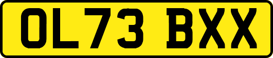 OL73BXX