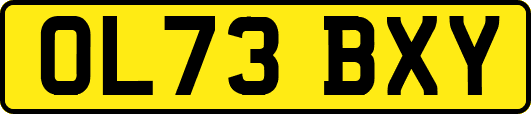 OL73BXY