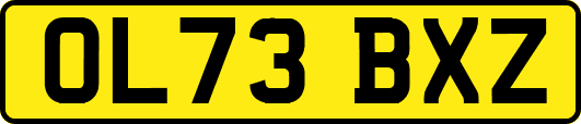 OL73BXZ