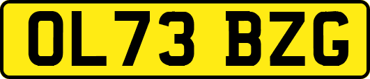 OL73BZG