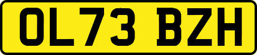 OL73BZH