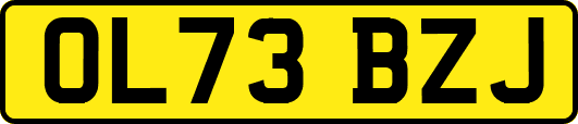 OL73BZJ