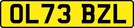 OL73BZL