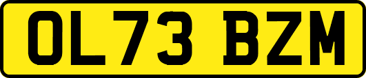 OL73BZM