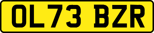 OL73BZR