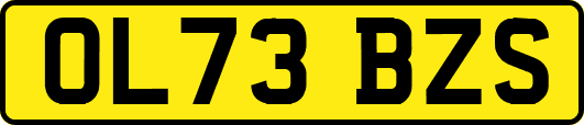 OL73BZS