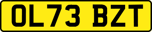 OL73BZT
