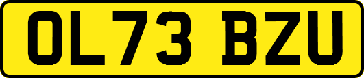 OL73BZU