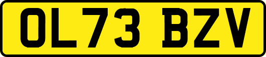 OL73BZV