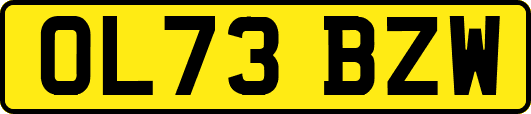 OL73BZW