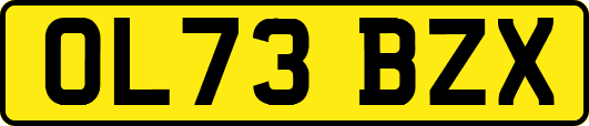 OL73BZX
