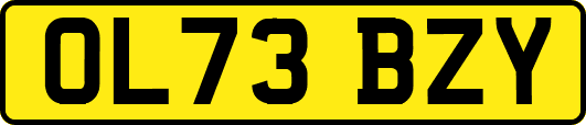 OL73BZY