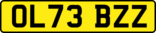 OL73BZZ