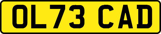 OL73CAD