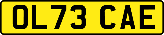 OL73CAE