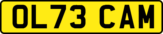 OL73CAM