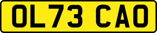 OL73CAO
