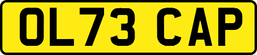 OL73CAP