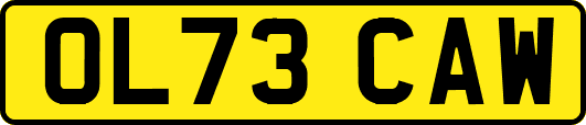 OL73CAW