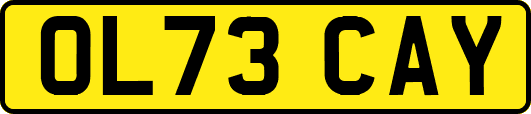 OL73CAY