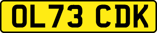 OL73CDK