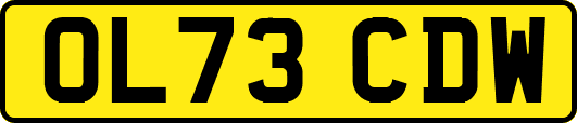 OL73CDW