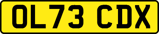 OL73CDX