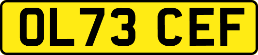 OL73CEF