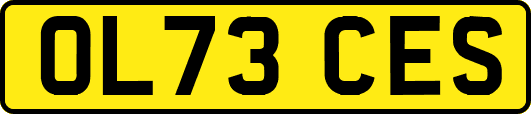 OL73CES