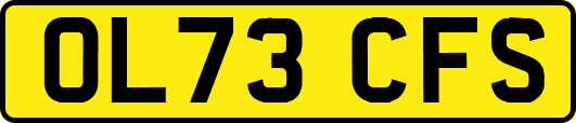 OL73CFS