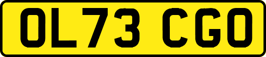 OL73CGO