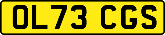 OL73CGS