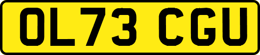 OL73CGU