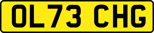 OL73CHG