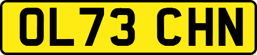 OL73CHN