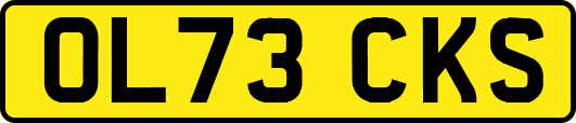 OL73CKS