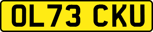 OL73CKU