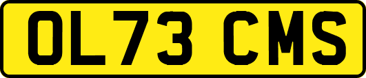 OL73CMS