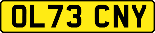 OL73CNY