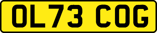 OL73COG