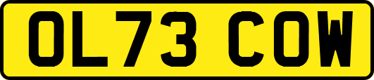 OL73COW