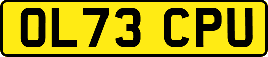 OL73CPU