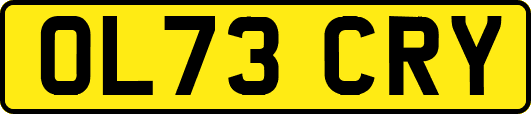 OL73CRY