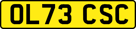OL73CSC