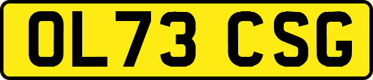 OL73CSG
