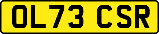 OL73CSR
