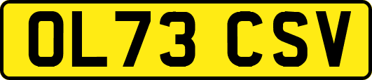 OL73CSV