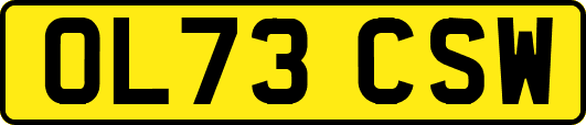 OL73CSW