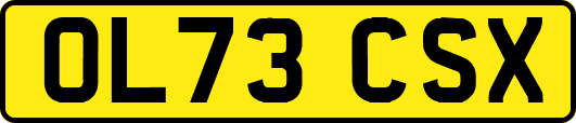 OL73CSX